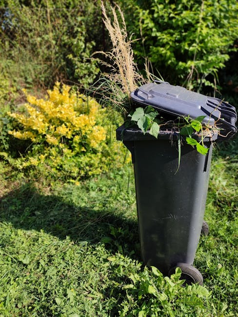 A black wheeled rubbish bin positioned on a grassy area outdoors, filled with garden waste including dried grass, leafy branches, and plant stalks. The lid of the bin is slightly open, allowing some of the waste to overflow. Surrounding the bin are various green plants and shrubs, with a dense backdrop of foliage. The scene is naturally lit, with sunlight casting soft shadows on the grass and emphasizing the textures of the garden debris. This setup suggests an informal, private approach to waste disposal, possibly related to garden clearance or alternative rubbish collection methods, aligning with the context of rubbish removal services offered by Rubbish Removal Kentish Town.